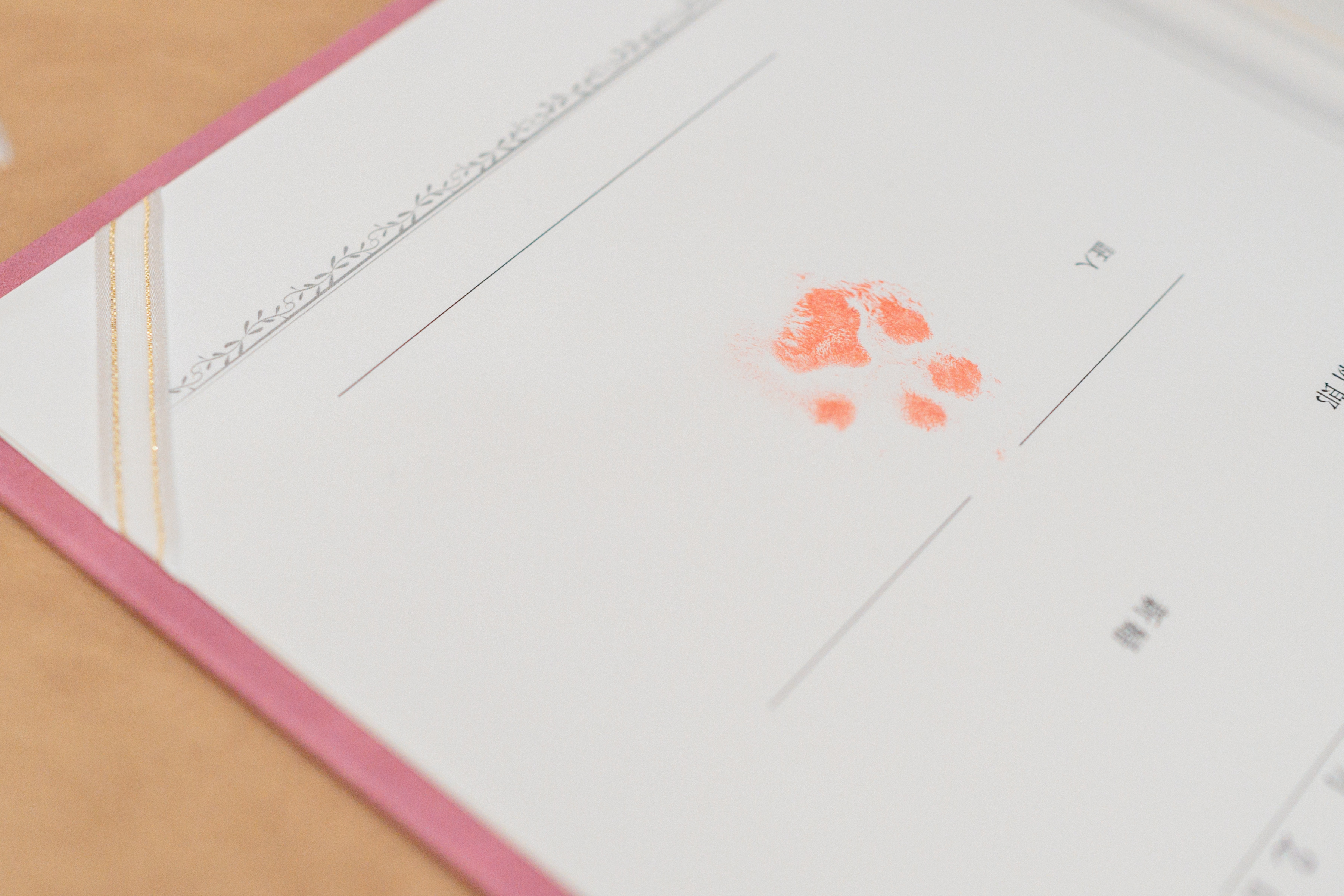 ペットが主役のご結婚式??